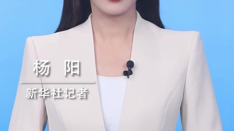软件测试流程文档：构建高质量软件的基石
